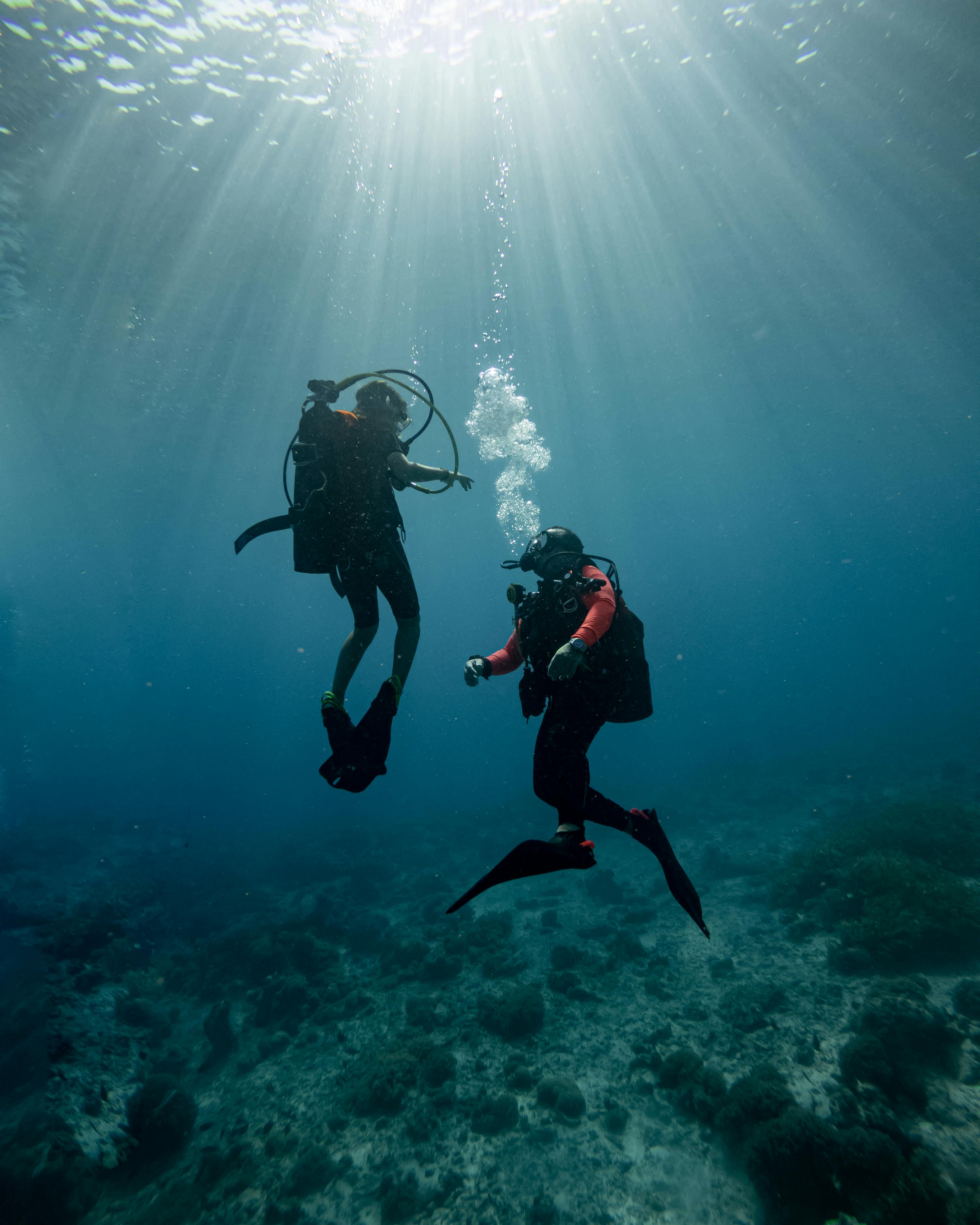 Two scuba divers underwater